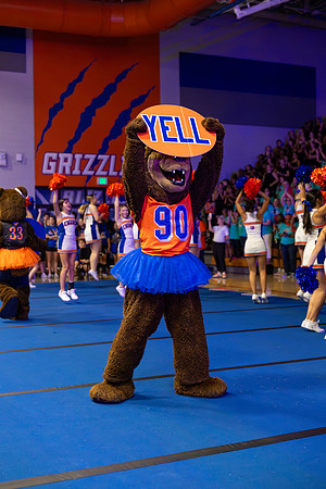 240812 GOHS Feeder Assembly-27