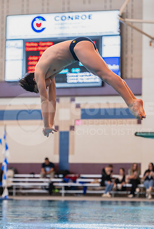 250206 Diving Regionals - Easton Hairell-42
