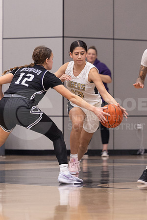 250131 Willis vs CHS Girls Basketball - Isabella Todd-45