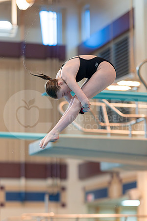 240126 District Dive Meet-36