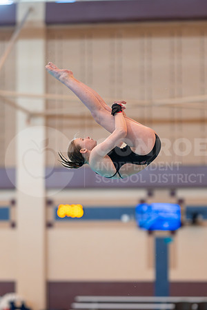 240126 District Dive Meet-89