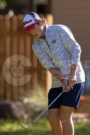 240326 Boys District Golf-118
