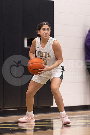 250131 Willis vs CHS Girls Basketball - Isabella Todd-29
