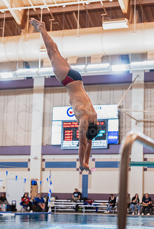 250206 Diving Regionals - Easton Hairell-36