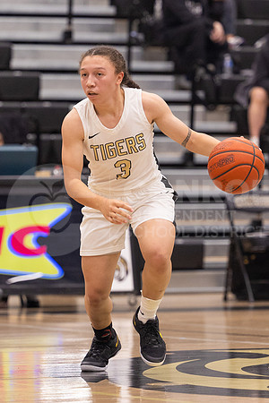 250131 Willis vs CHS Girls Basketball - Isabella Todd-36