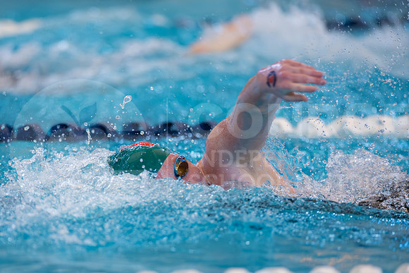 250207 Regional Swimming-51