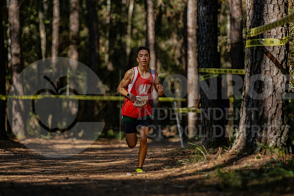 241010 XC District Meet - Easton Hairell-68
