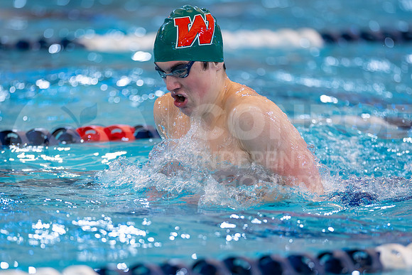 250207 Regional Swimming-37