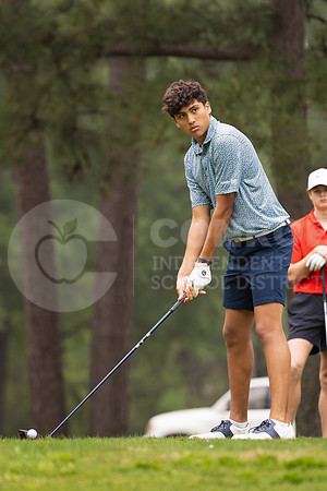 250401 Boys District Golf - Ainsley Stewart-23