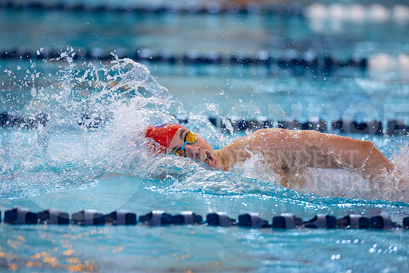 250207 Regional Swimming-60