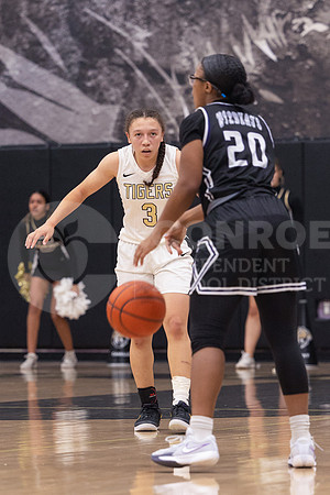250131 Willis vs CHS Girls Basketball - Isabella Todd-42